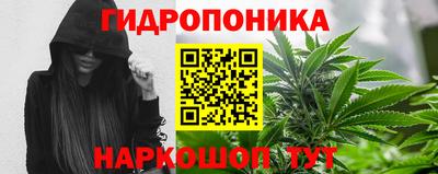 индика Тулун