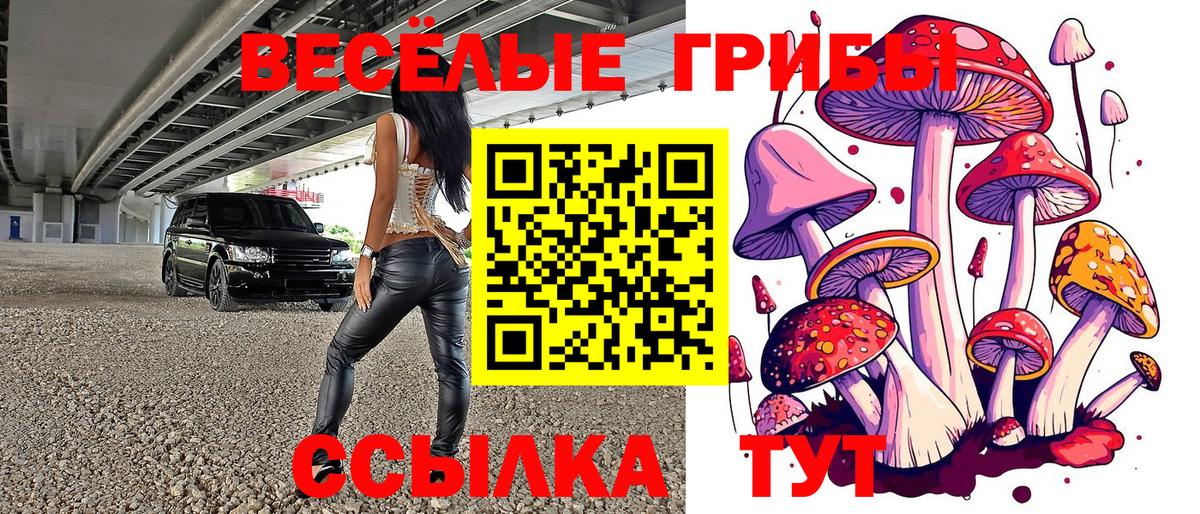 Галлюциногенные грибы Magic Shrooms Нурлат