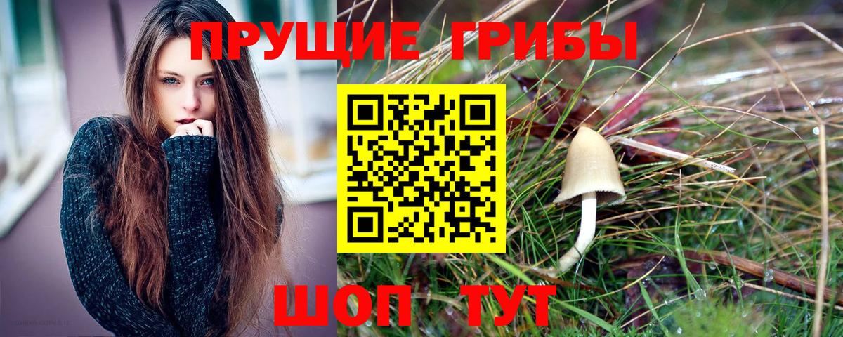 Псилоцибиновые грибы Psilocybine cubensis  Вход с VPN  Нурлат 